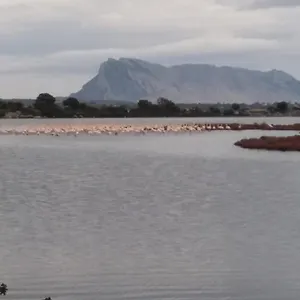 La Puppusedda San Teodoro (Sardinia)